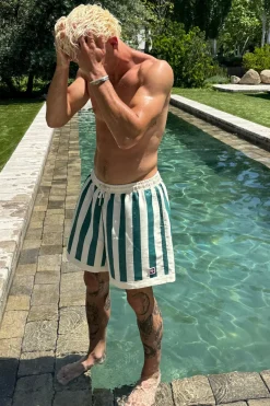 Scuffers Swimwear^Backyard Swimpants Green